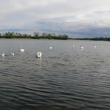 Zlota Lesniczowka مزرعة للإقامة