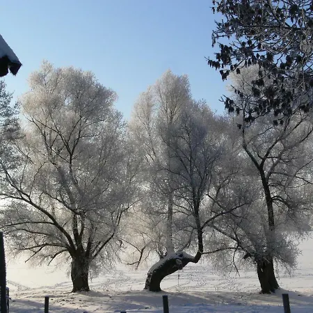 Zlota Lesniczowka Rydzowka