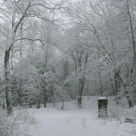 مزرعة للإقامة Zlota Lesniczowka